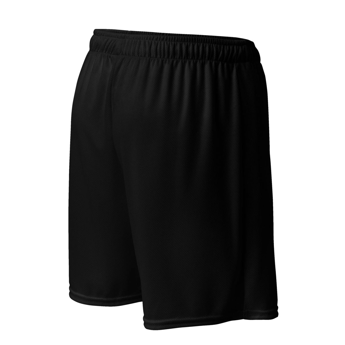Hantsu Active shorts for gym and other sports Hanz Driven